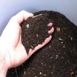 Vermicompost