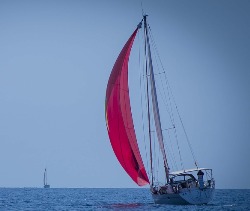 Global Main Sail Market 2017 BIC Boats, Doyle, Dragon Marine, Elvstr?m Sails, Hood, Hydesails, Jeckells, Lidgard Sailmakers, Neilpryde Sails, NENUPHAR