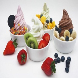 Frozen Yogurt