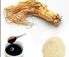 Ginseng Extract