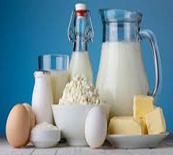 Kefir Products Market