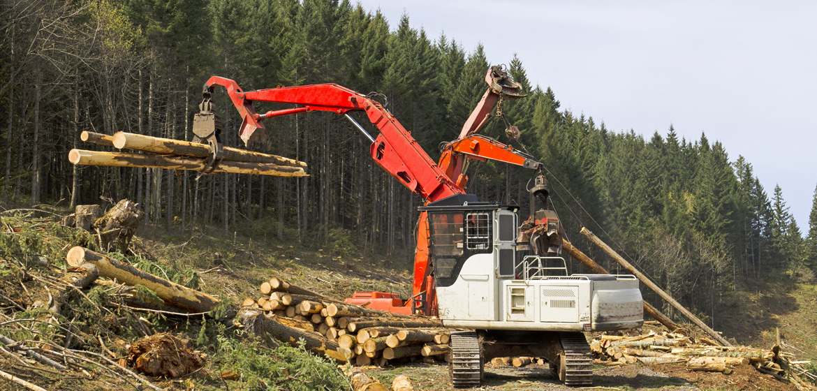 The Wired Logging Renaissance: How Legacy Tech is Powering the Future of Data