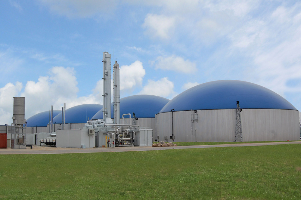 Biogas Power Market