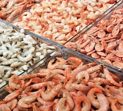 Shrimp Market