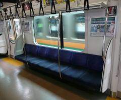 Train Seat