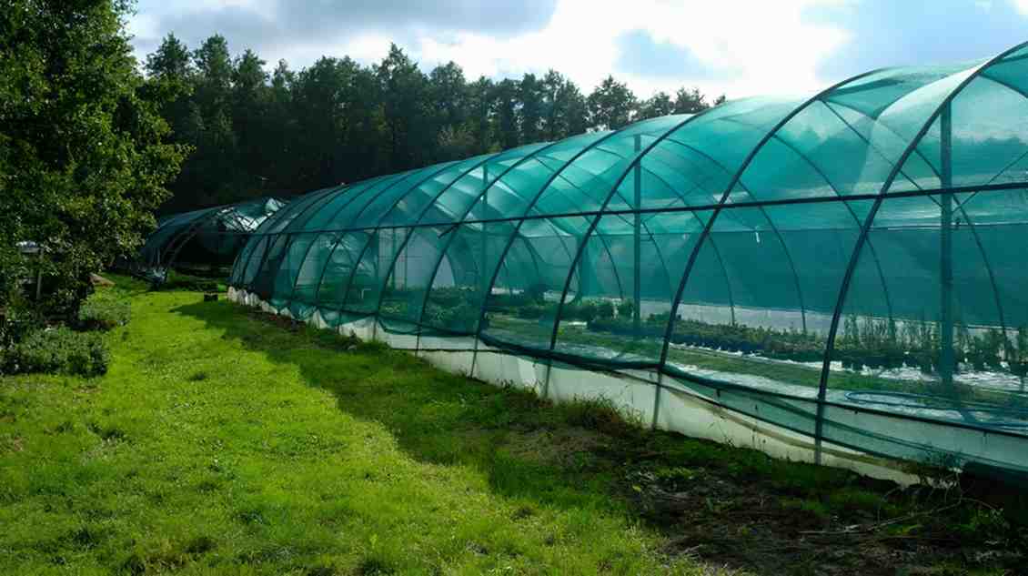 The Agriculture Nets Market: Cultivating Resilience and Efficiency in Modern Farming